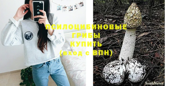 гидра Алзамай
