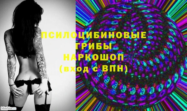 эйфоретик Алексеевка