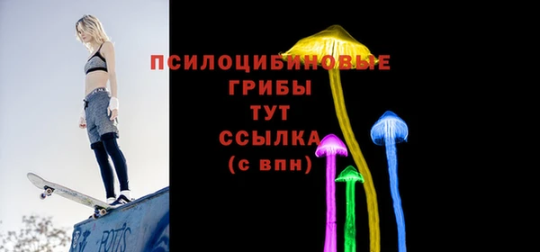 гидра Алзамай