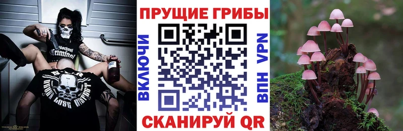 Галлюциногенные грибы ЛСД  Любань 