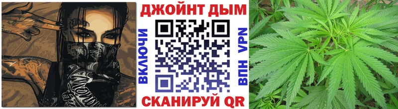 Бошки марихуана конопля  omg сайт  Любань 